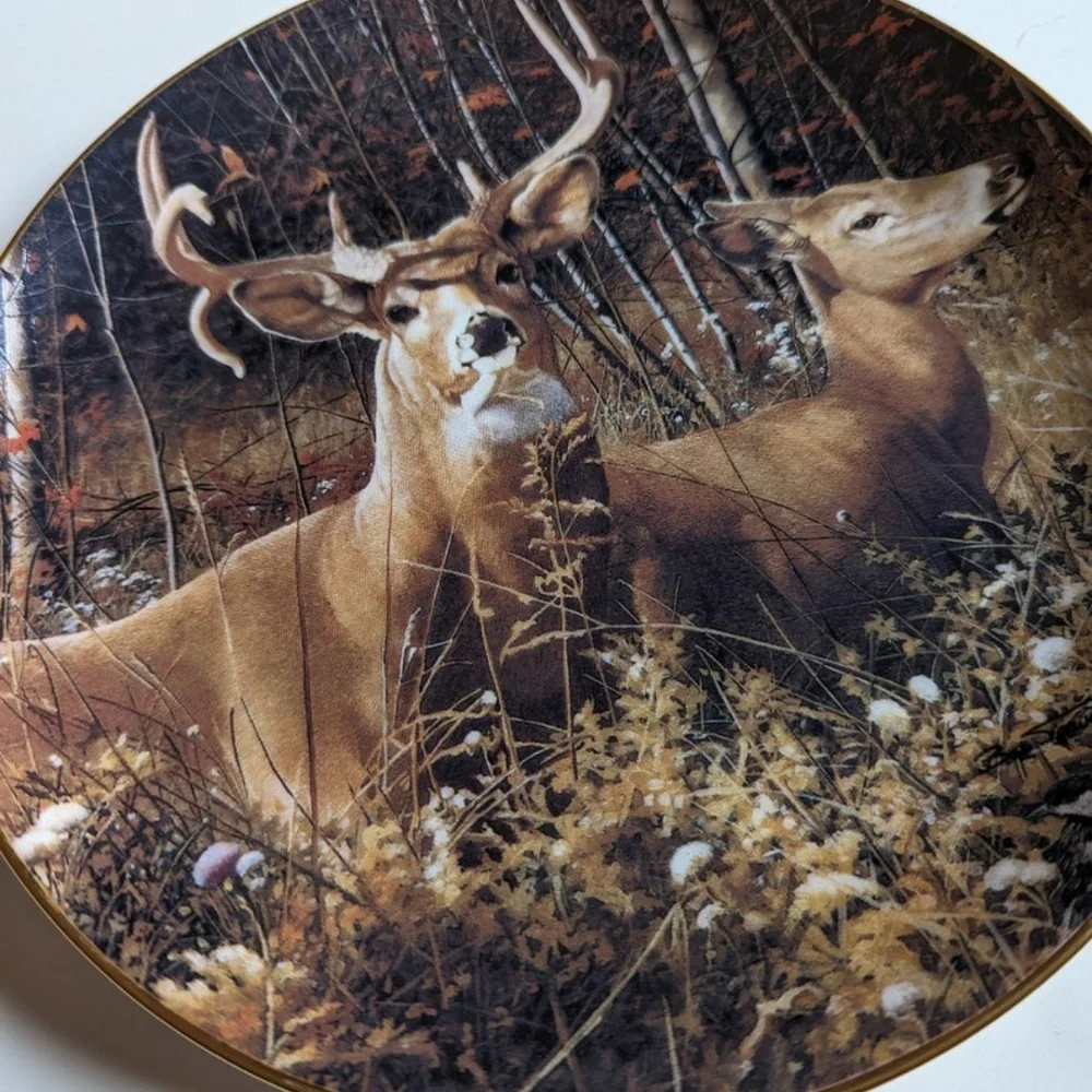 Vintage 1992 Fall Retreat, Pride of the Wilderness, plate by Bob Travers - Picture 6 of 9